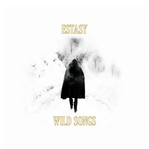 Wild Songs [LP] - VINYL_0