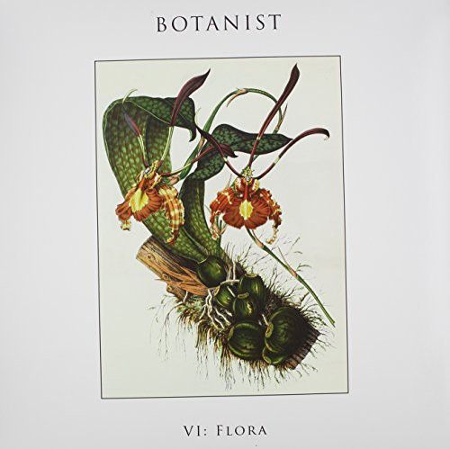 VI: Flora [LP] - VINYL_0