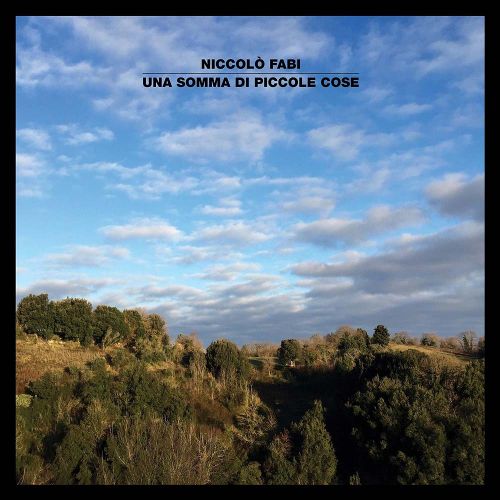 Una  Somma di Piccole Cose [LP] - VINYL_0