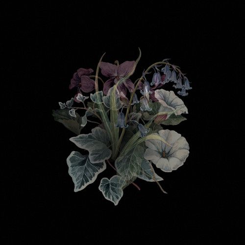 Wildflowers [LP] - VINYL_0