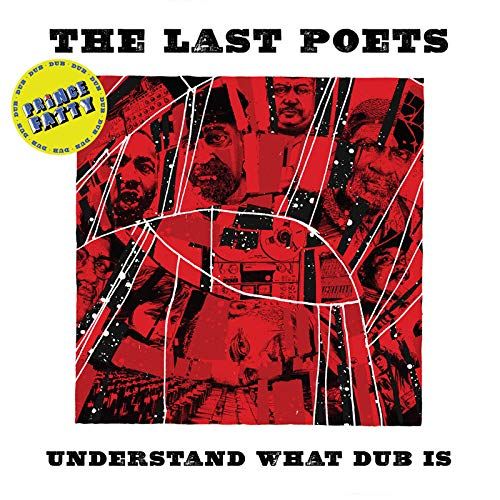 Understand What Dub Is [LP] - VINYL_0