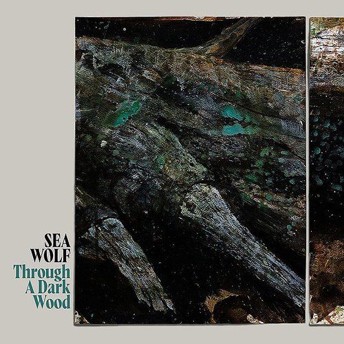 Through a Dark Wood [Deluxe Edition] [LP] - VINYL_0