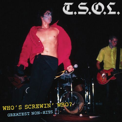 Who's Screwing Who 12: Greatest Non-Hits [LP] - VINYL_0