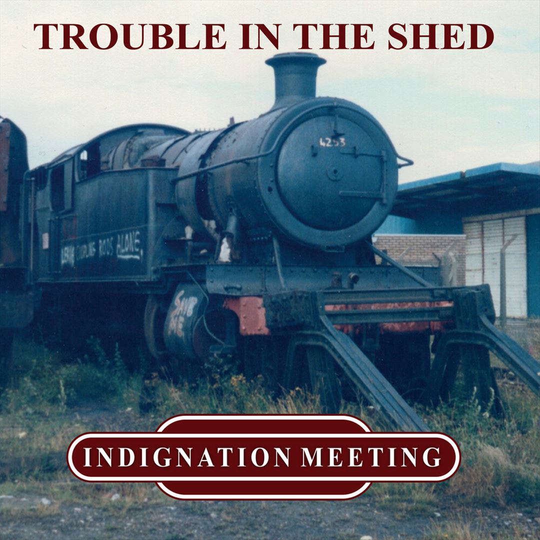 Trouble in the Shed [LP] - VINYL_0