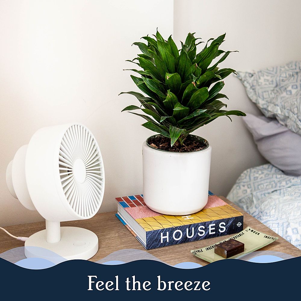 Windmill Smart Whisper-Quiet Air Circulator and Fan with 5 speeds and Remote - White_5