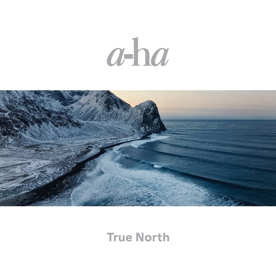 True North [LP] - VINYL_0