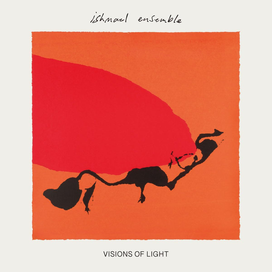 Visions of Light [LP] - VINYL_0