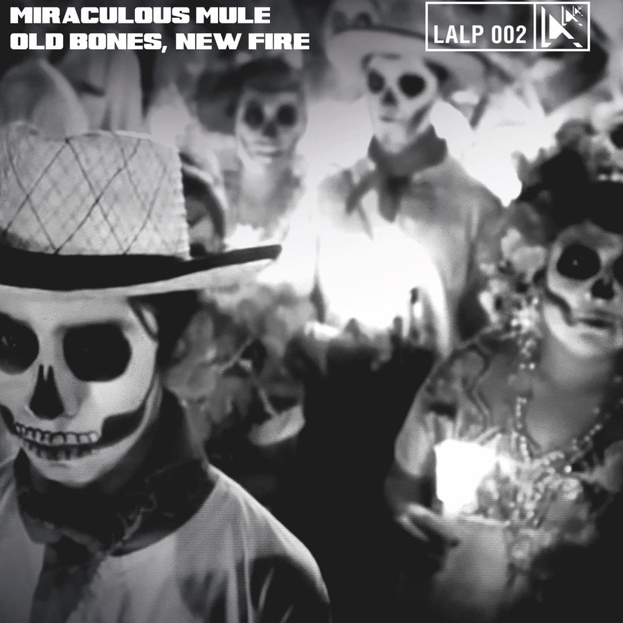 Old Bones, New Fire [LP] - VINYL_0