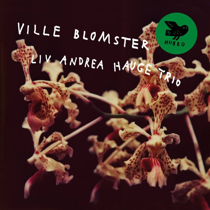Ville Blomster [LP] - VINYL_0
