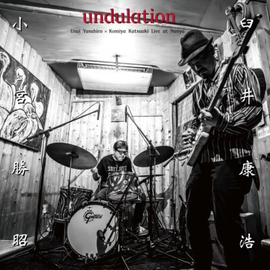 Undulation [LP] - VINYL_0