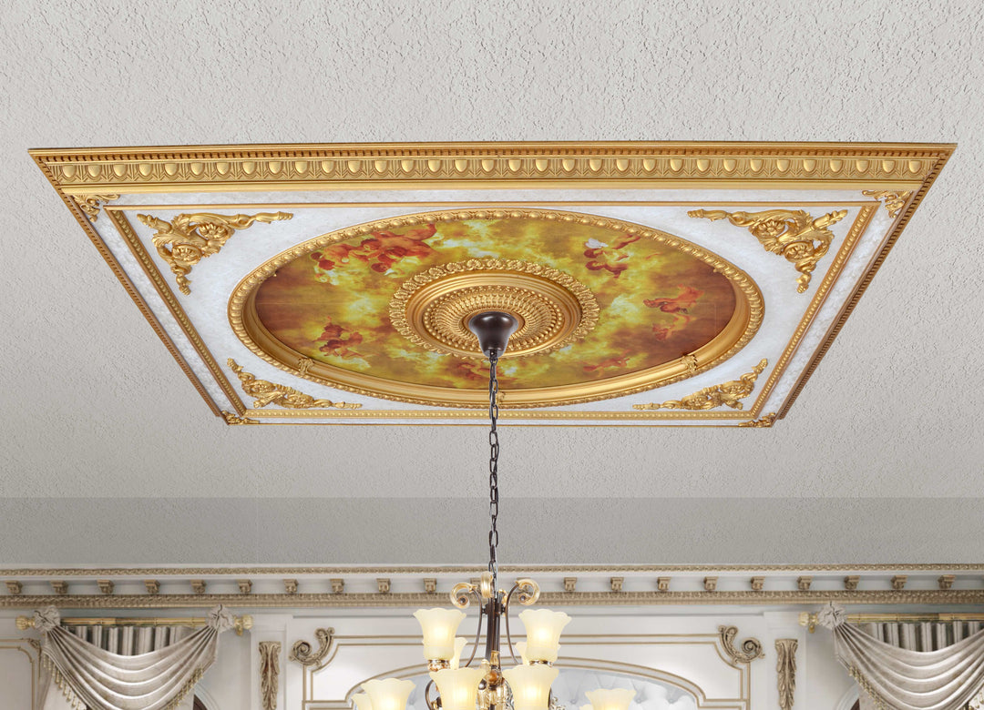 Classical Design Rectangular Ceiling Medallion 6ft x 8ft_0
