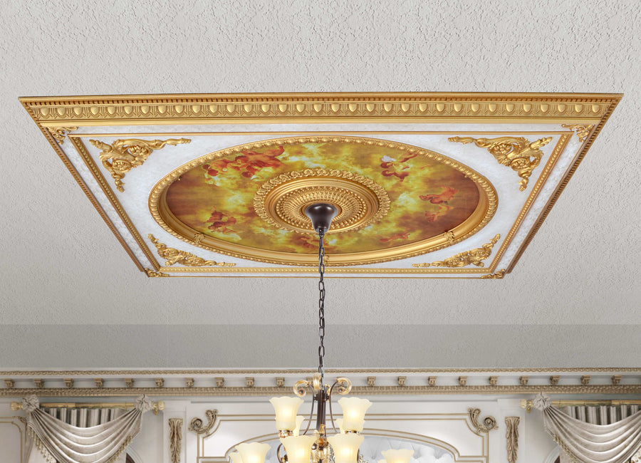 Classical Design Rectangular Ceiling Medallion 6ft x 8ft_0