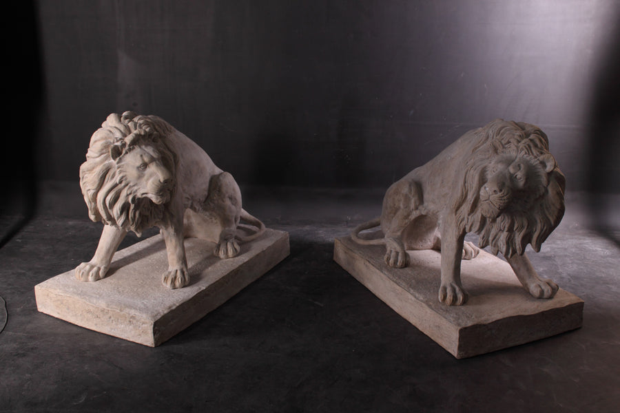 Symmetrical Pair of 39 Inch Entry Lions in Rough Stone_0
