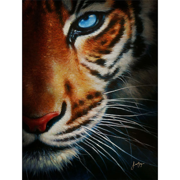 Tiger Gallery Wrap 16_0