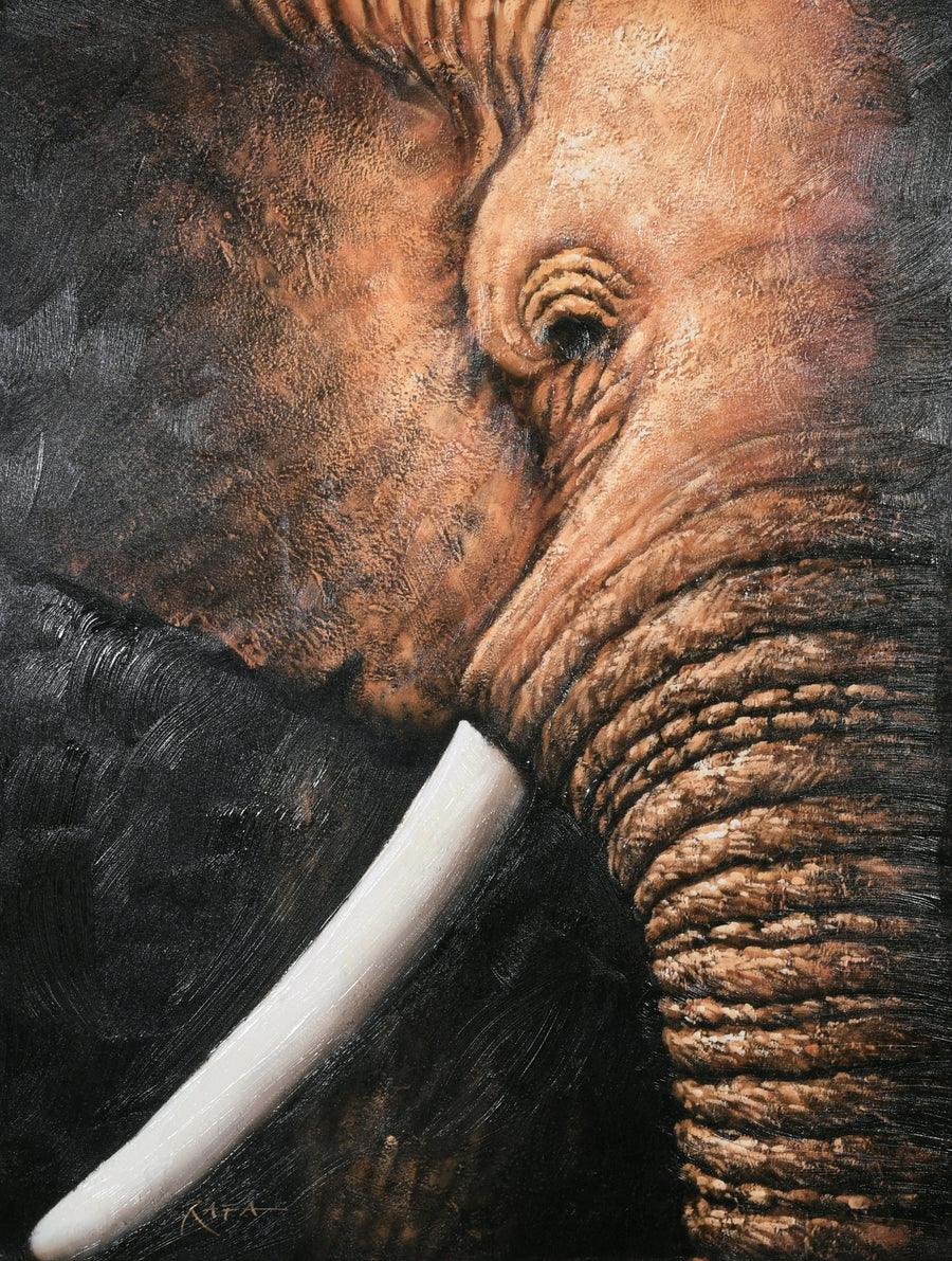 The Elephant Gallery Wrap 37_0