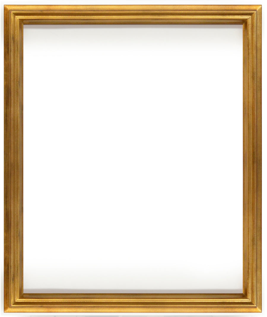 Simple Elegance Frame 20X24 Soft Gold_0