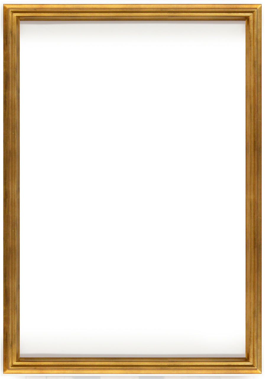 Simple Elegance Frame 24X36  Soft Gold_0