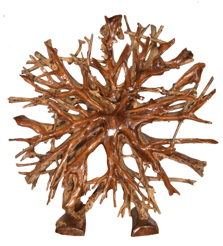 Teak Root Architectural Piece with Stand   B_0