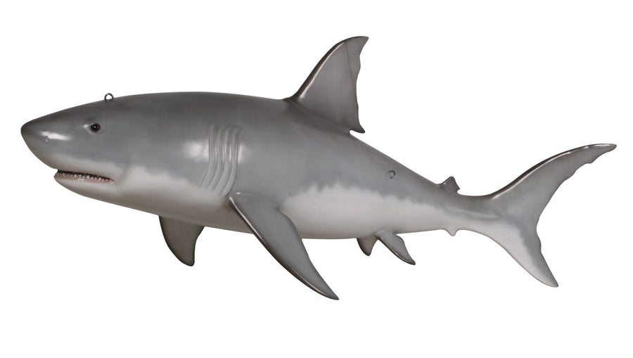 Great White Shark 6ft_0