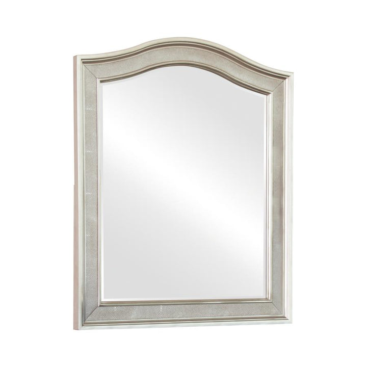 Arched Top Vanity Mirror Metallic Platinum_3