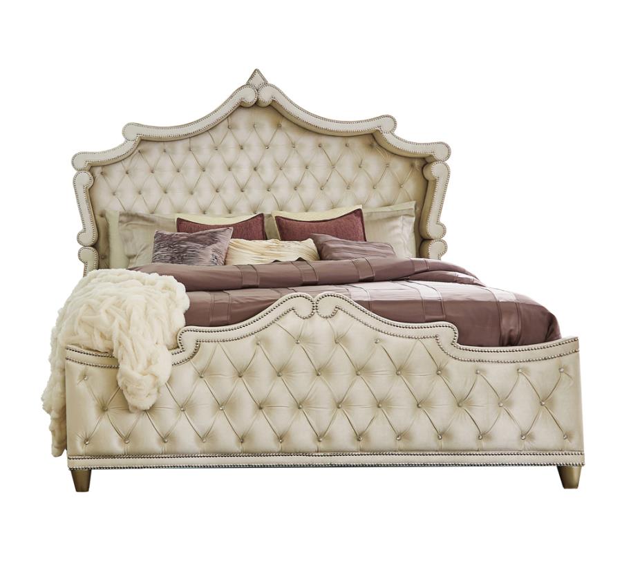 Antonella Upholstered Tufted Bedroom Set Ivory and Camel_1