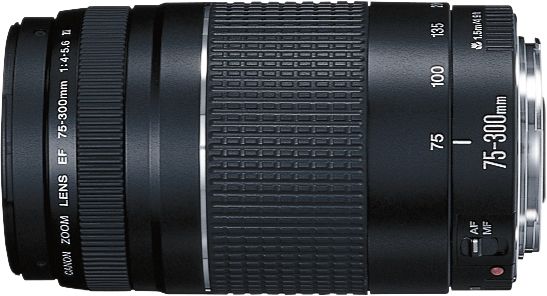 Canon - EF 75-300mm f/4-5.6 III Telephoto Zoom Lens - Multi_4