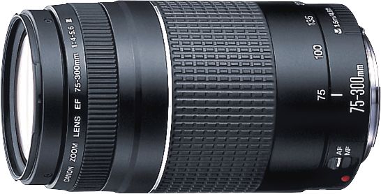 Canon - EF 75-300mm f/4-5.6 III Telephoto Zoom Lens - Multi_2