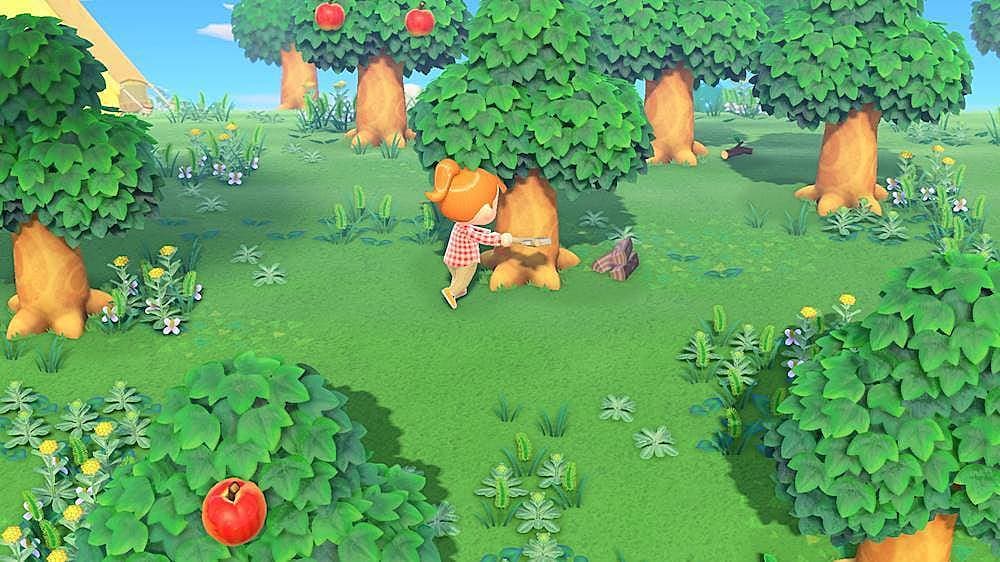 Animal Crossing: New Horizons - Nintendo Switch_18