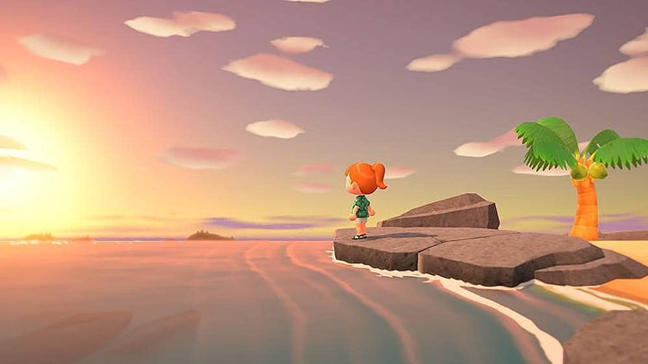 Animal Crossing: New Horizons - Nintendo Switch_17