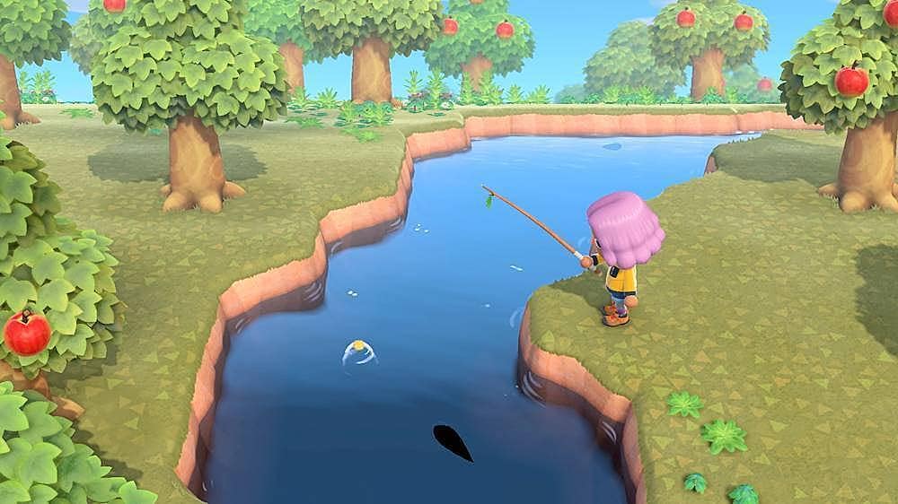 Animal Crossing: New Horizons - Nintendo Switch_12