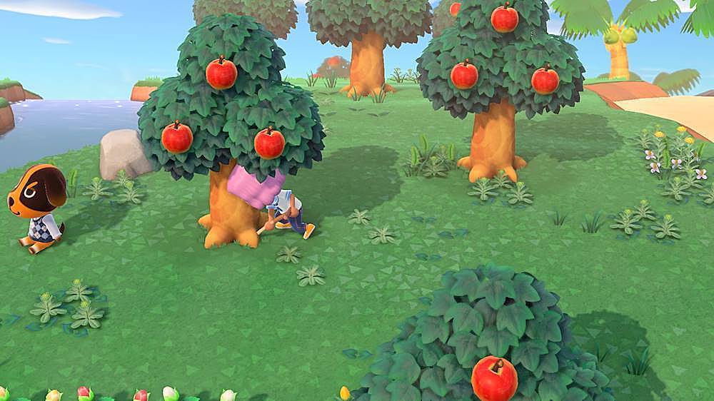 Animal Crossing: New Horizons - Nintendo Switch_11