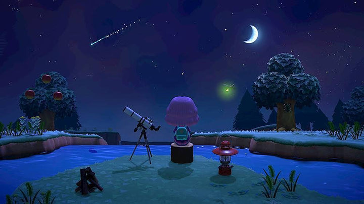 Animal Crossing: New Horizons - Nintendo Switch_4