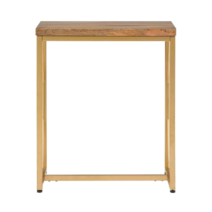Simpli Home - Selma Rectangular Contemporary Mango Wood Accent Side Table - Natural_0