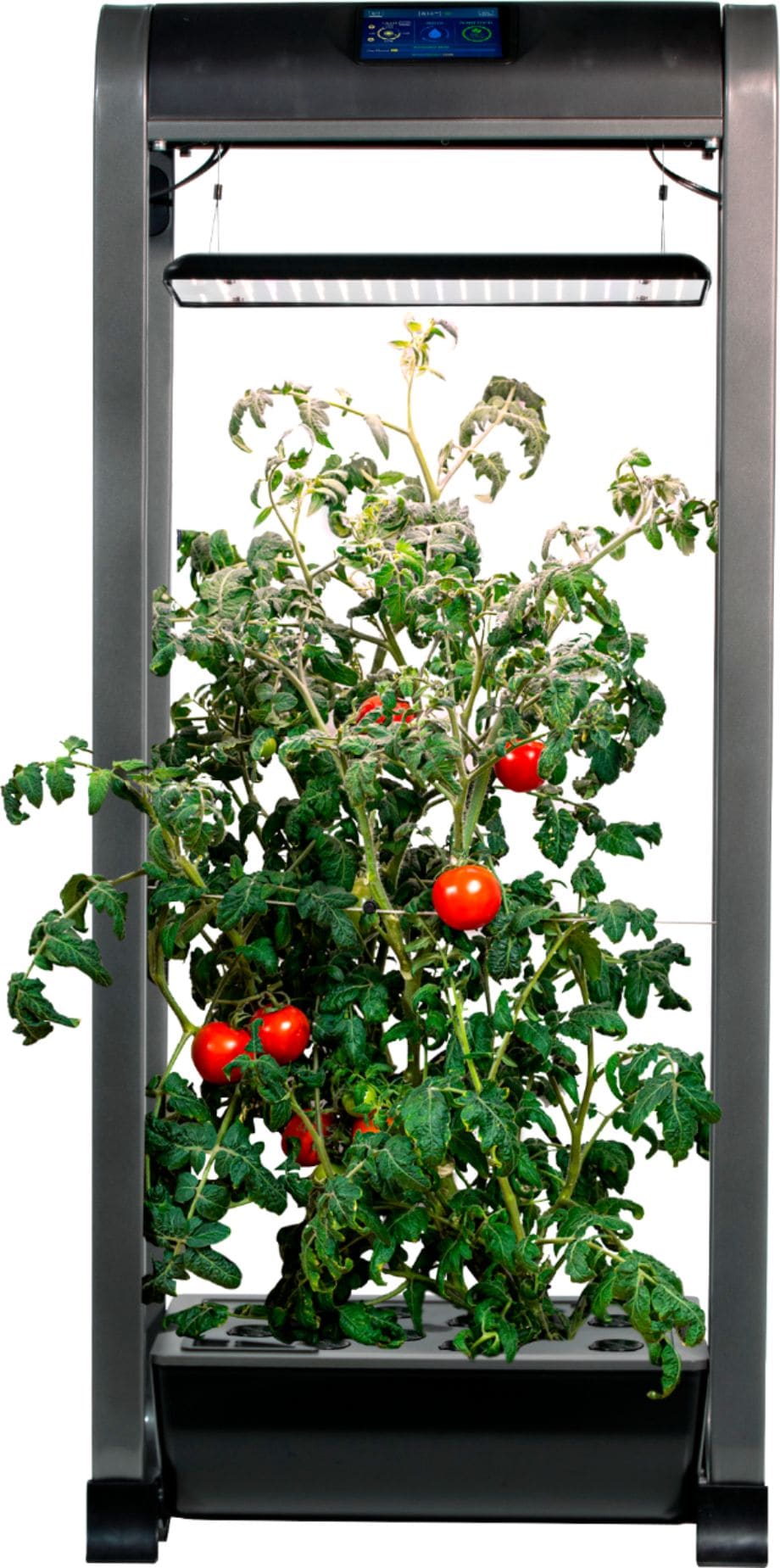 AeroGarden - Farm 12XL with Salad Bar Seed Pod Kit - Hydroponic Indoor Garden - Black_2