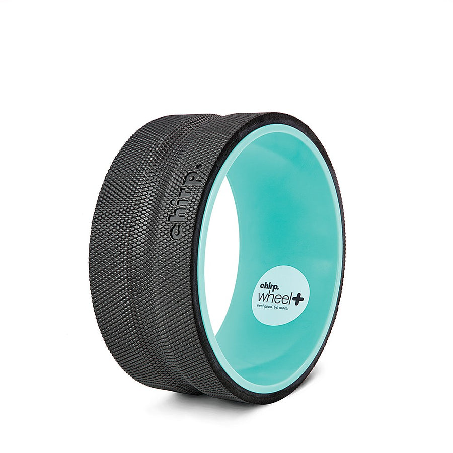 Chirp Wheel+ 10" Firm - Mint_0