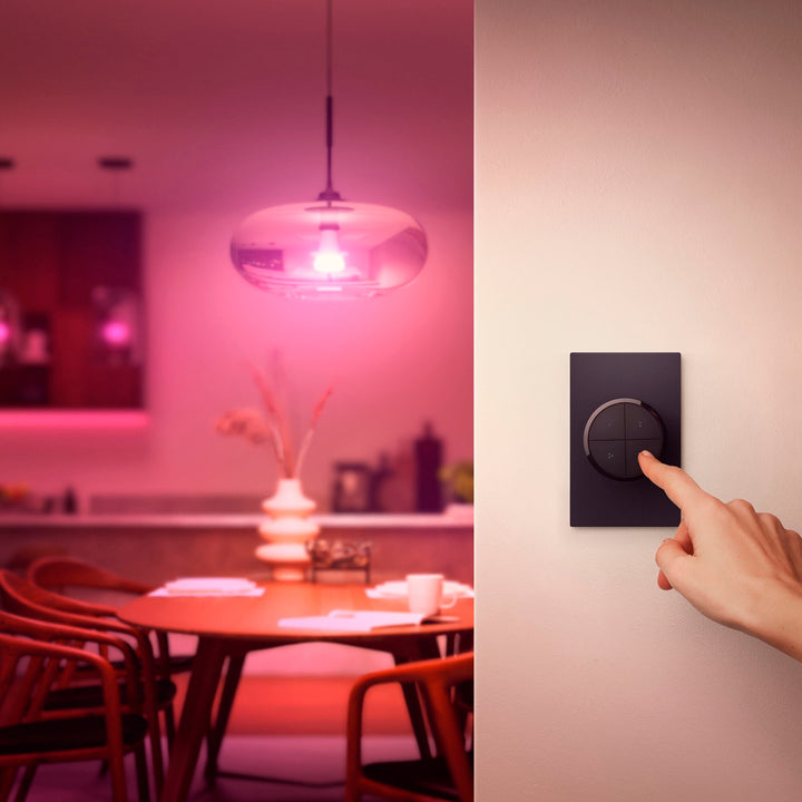 Philips - Hue Tap Dial Switch - Black_8