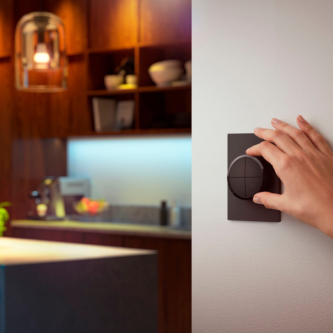 Philips - Hue Tap Dial Switch - Black_4