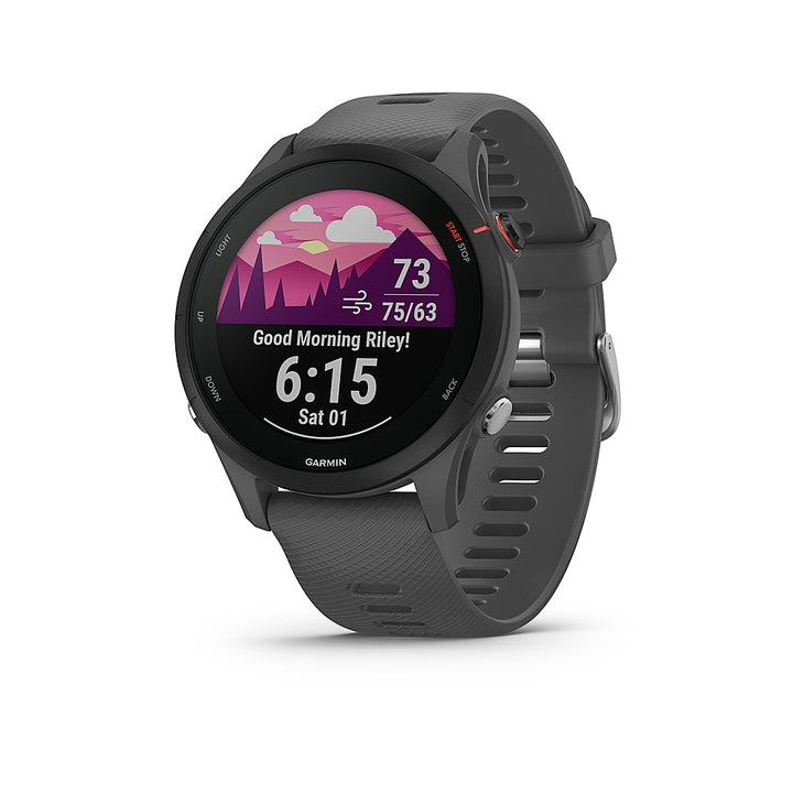 Garmin - Forerunner 255 GPS Smartwatch 46 mm Fiber-reinforced polymer - Slate Grey_2