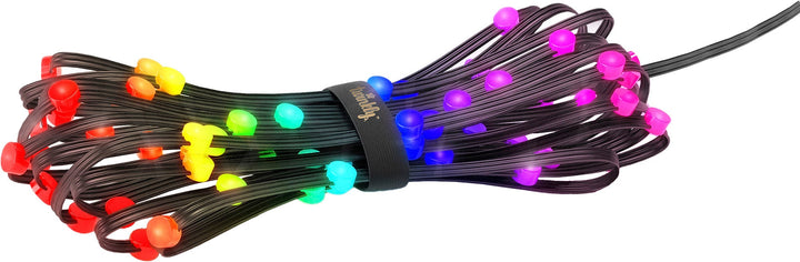Twinkly - Smart Light 400 RGB LED Light String and 60 Dots (Gen 2)_10