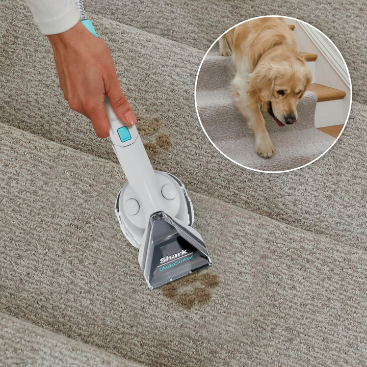 Shark - CarpetXpert with Stainstriker Technology Corded Upright Deep Carpet and Upholstery Cleaner with Built-in Spot Remover - White_5