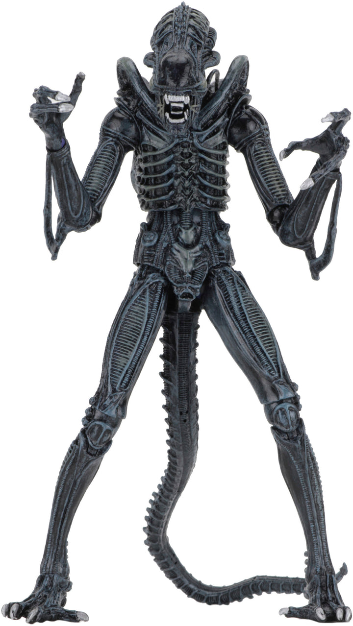 NECA - Alien 7" Scale  Action Figure - Ultimate Warrior (1986) Blue_0