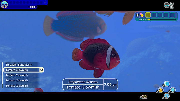 Endless Ocean Luminous - Nintendo Switch, Nintendo Switch Lite, Nintendo Switch – OLED Model_3