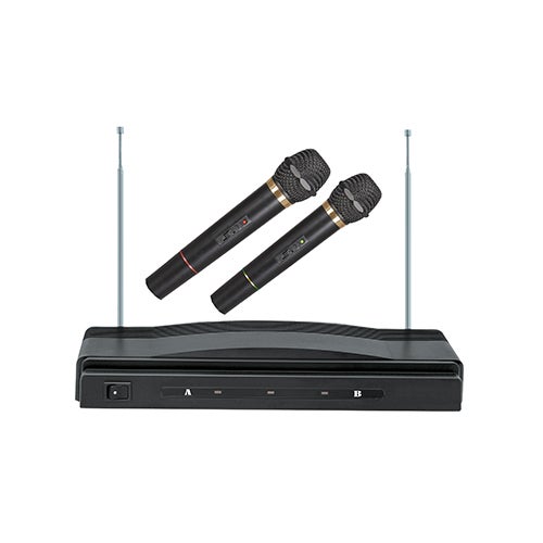 Professional Dual Wireless Microphone System_0