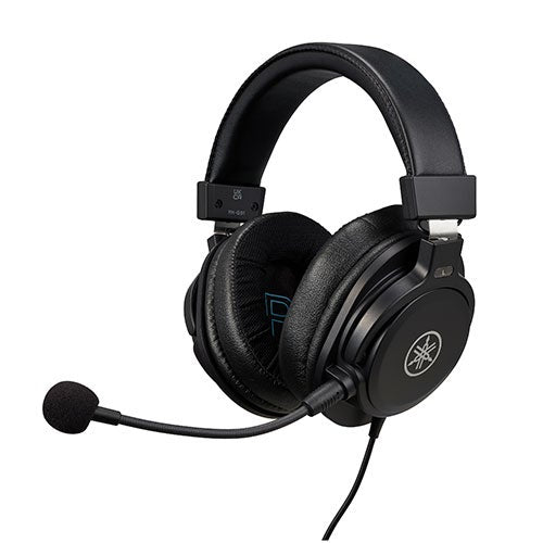 Gaming Headset w/ Microphone_0
