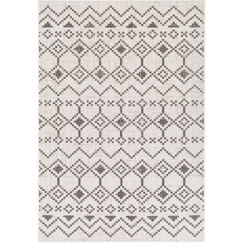 Eagean Indoor/Outdoor Area Rug_0