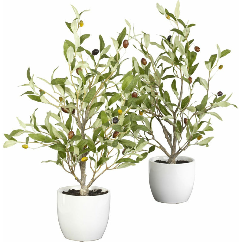 Olive Silk Tree with Vase: Set of 2_0