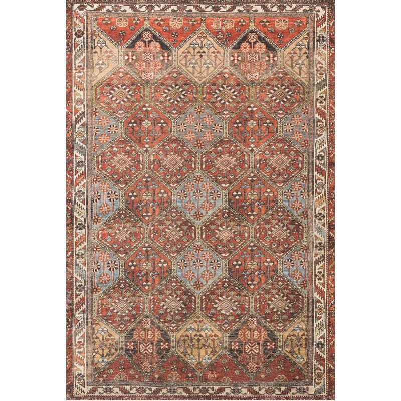 Loren 4 x 6 Accent Rug_0